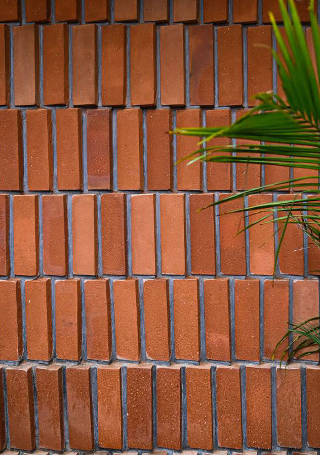 extruded-wire-cut-bricks
